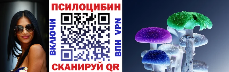 Галлюциногенные грибы мицелий  купить наркоту  Пошехонье 